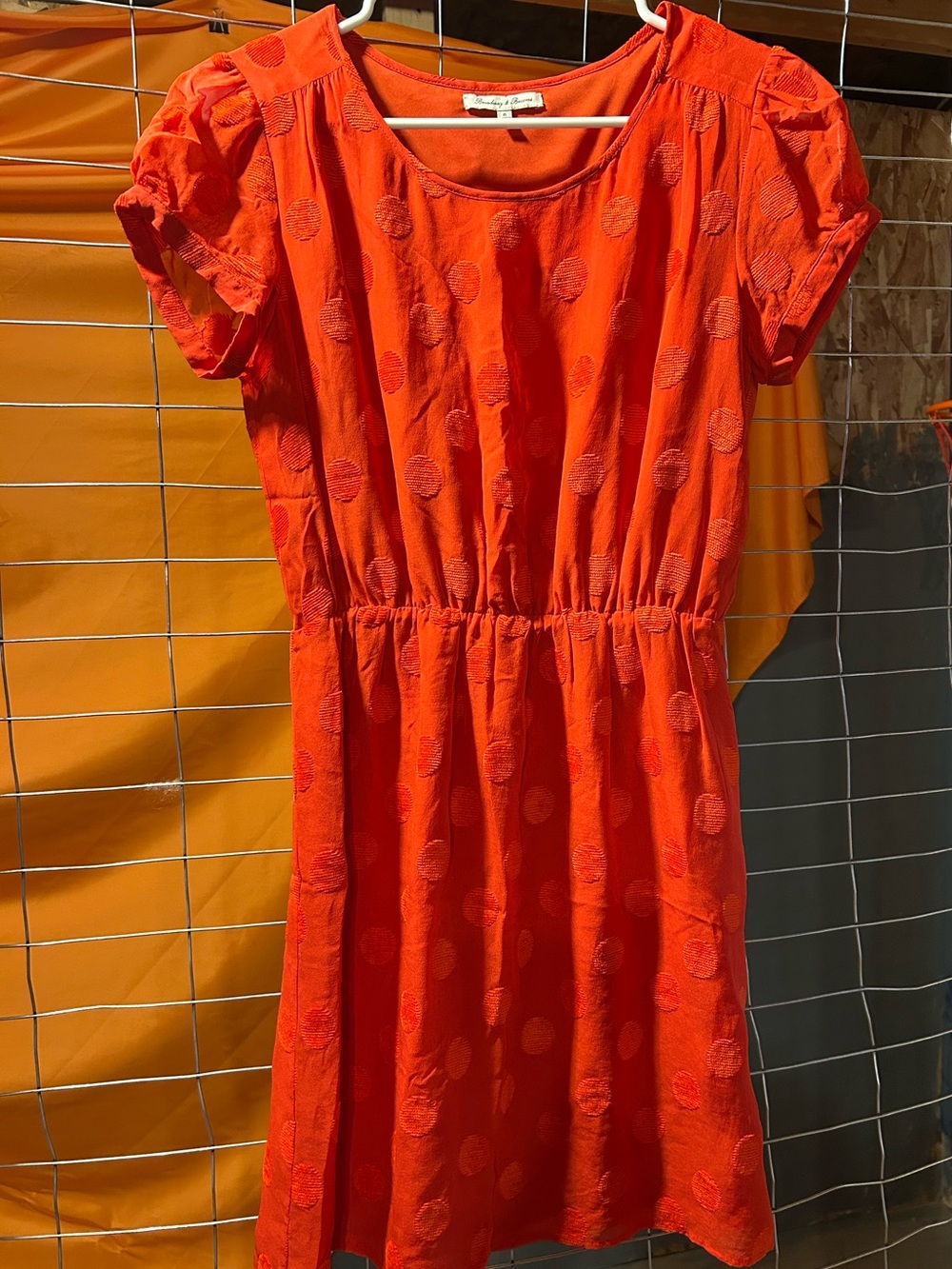 Bright Red Dot-Textured Short Sleeve Dress